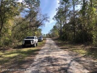 LOT13 Colonel Ave, Webster, FL 33597