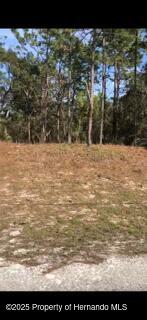 LOT13 Colonel Ave, Webster, FL 33597
