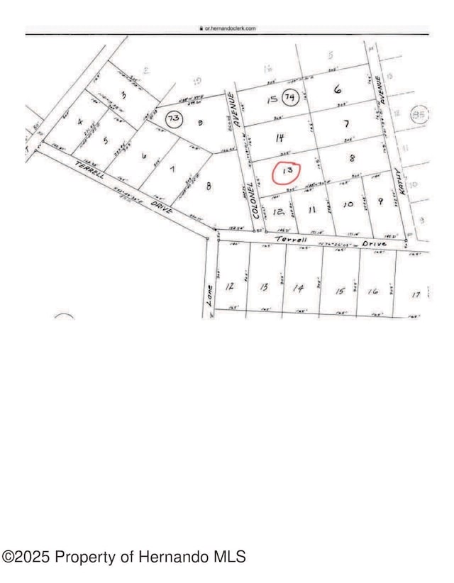 LOT13 Colonel Ave, Webster, FL 33597