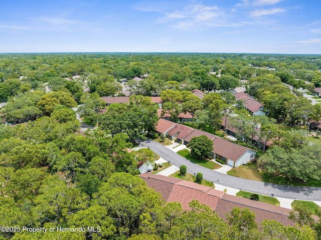 bird's eye view of a forest