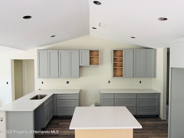 11406 Labrador Duck Rd, Weeki Wachee, FL 34613 - kitchen with lofted ceiling, gray cabinetry, dark wood finished floors, and recessed lighting