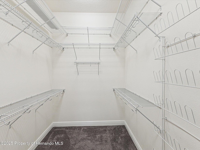 spacious closet with carpet