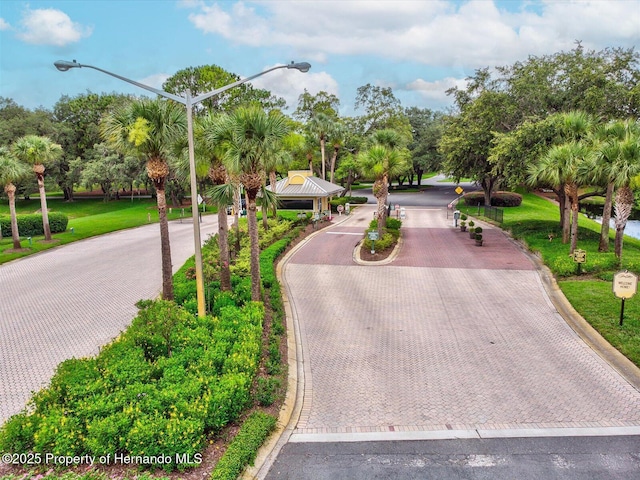 view of street with street lights, curbs, and view of scattered trees