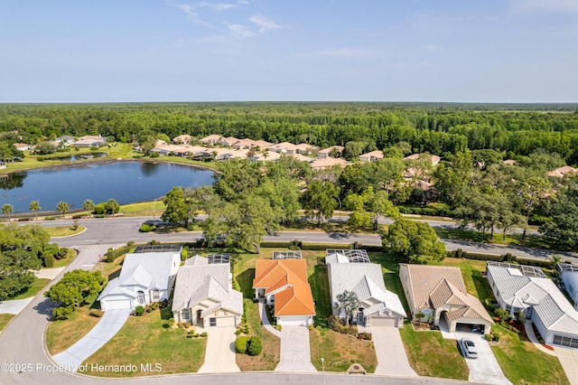 aerial perspective of suburban area with a forest and a large body of water