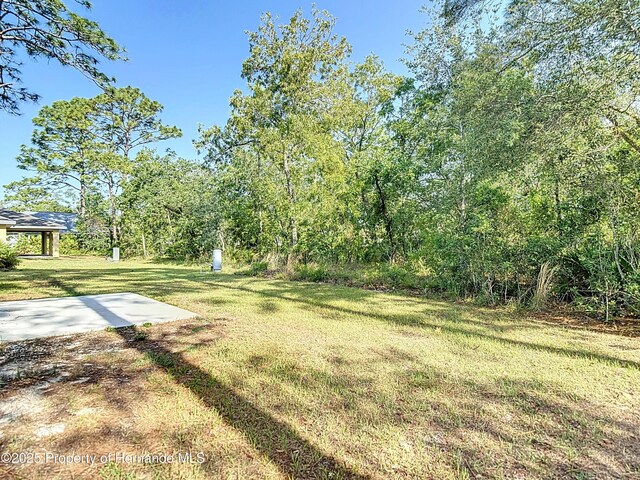 12053 Centralia Rd, Brooksville, FL 34614 - photo 43