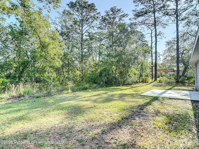 12053 Centralia Rd, Brooksville, FL 34614 - photo 46