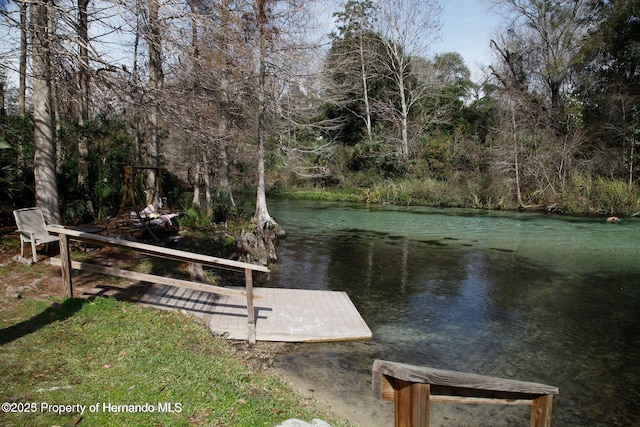 6583 River Run Blvd, Weeki Wachee, FL 34607 - photo 59