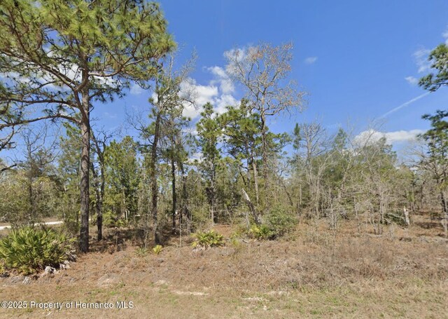 0 Courlan Rd, Weeki Wachee, FL 34614