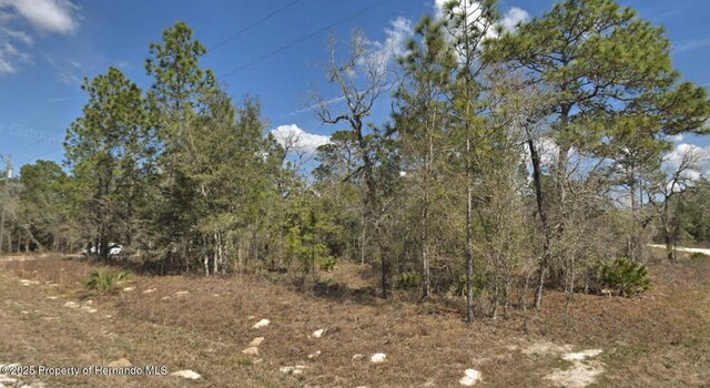 0 Courlan Rd, Weeki Wachee, FL 34614
