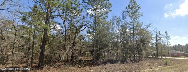 0 Courlan Rd, Weeki Wachee, FL 34614