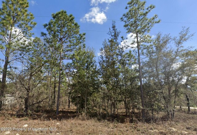 0 Courlan Rd, Weeki Wachee, FL 34614