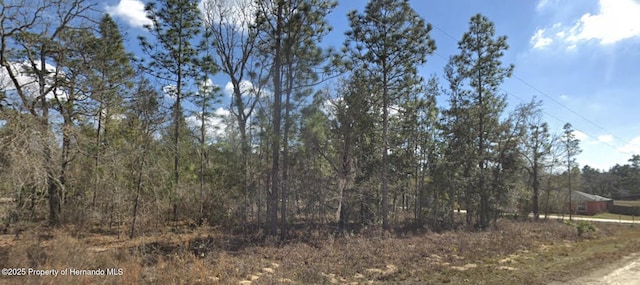 0 Courlan Rd, Weeki Wachee, FL 34614