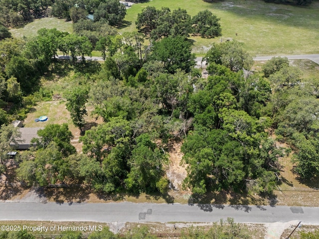 4381 County Rd 692, Webster, FL 33597