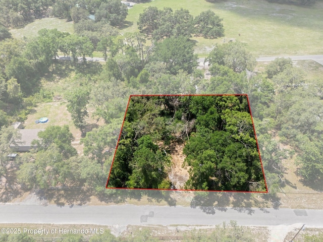 4381 County Rd 692, Webster, FL 33597