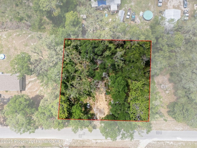 4381 County Rd 692, Webster, FL 33597
