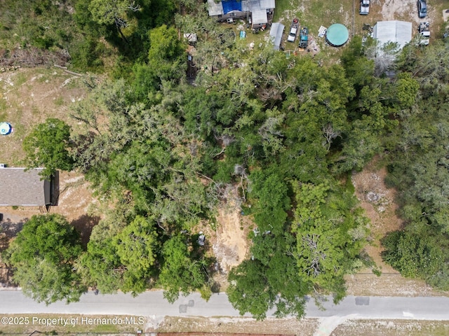 4381 County Rd 692, Webster, FL 33597