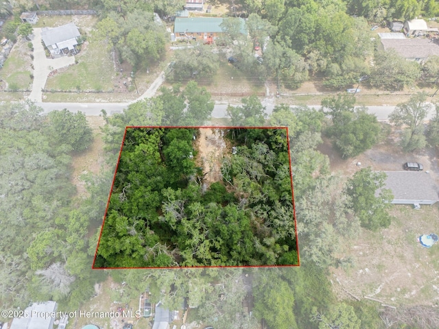 4381 County Rd 692, Webster, FL 33597