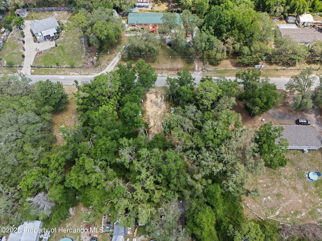 4381 County Rd 692, Webster, FL 33597