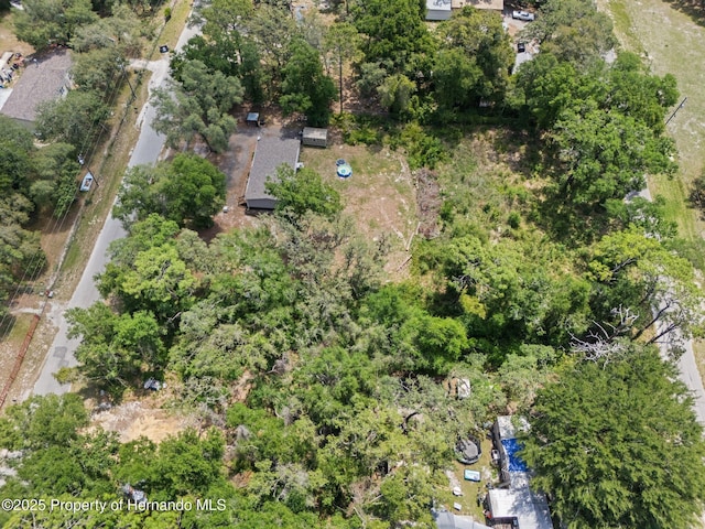 4381 County Rd 692, Webster, FL 33597