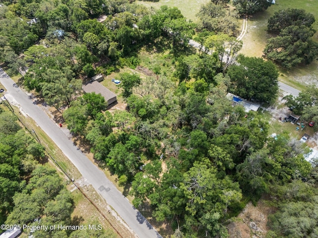 4381 County Rd 692, Webster, FL 33597