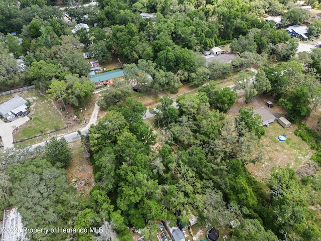 4381 County Rd 692, Webster, FL 33597