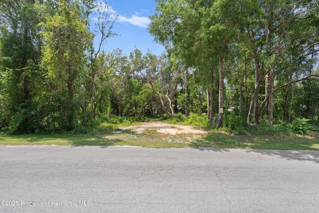 4381 County Rd 692, Webster, FL 33597