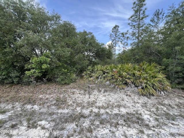 18167 Parakeet Rd, Weeki Wachee FL, 34614 land for sale