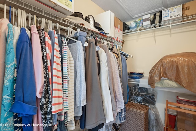 12271 House Finch Rd, Weeki Wachee, FL 34614 - spacious closet featuring attic access