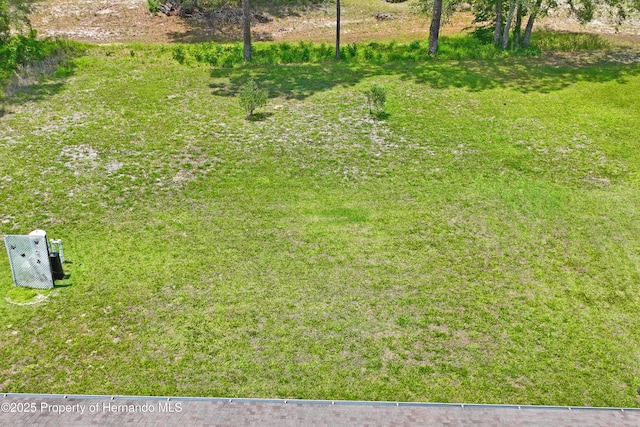12271 House Finch Rd, Weeki Wachee, FL 34614 - view of yard