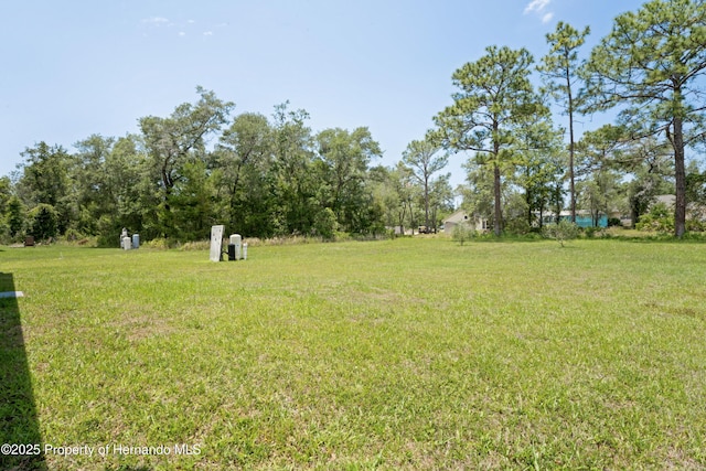 12271 House Finch Rd, Weeki Wachee, FL 34614 - view of grassy yard