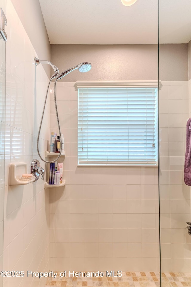 11750 Teapot Ct, Spring Hill, FL 34609 - full bath with tiled shower and plenty of natural light