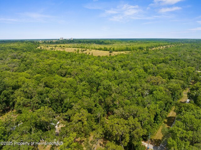 14145 Citrus Way, Brooksville, FL 34601 - photo 2