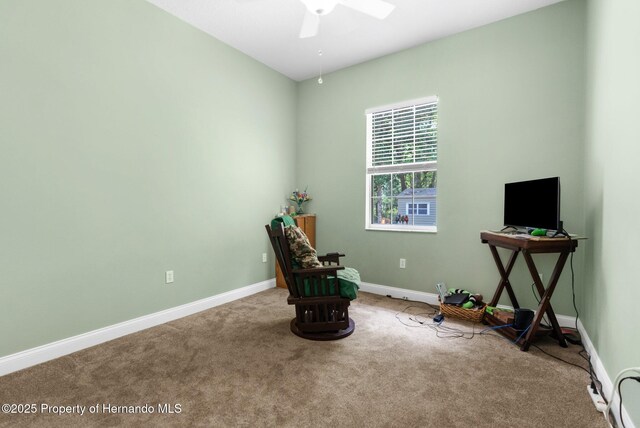 14145 Citrus Way, Brooksville, FL 34601 - photo 35