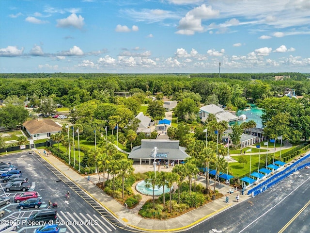 6076 Shiprock Ave, Spring Hill, FL 34608 - bird's eye view of a forest and a pool area