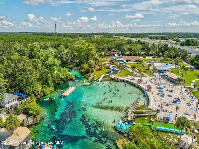 6076 Shiprock Ave, Spring Hill, FL 34608 - aerial view of a forest