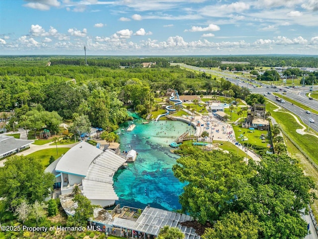 6076 Shiprock Ave, Spring Hill, FL 34608 - aerial view of a heavily wooded area