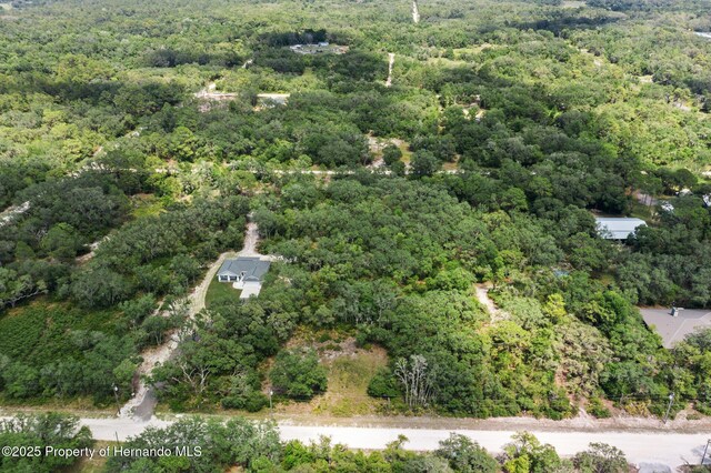 8184 Chimney Rock Dr, Webster, FL 33597