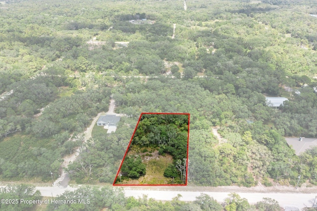 8184 Chimney Rock Dr, Webster, FL 33597
