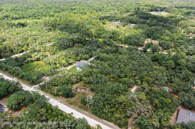 8184 Chimney Rock Dr, Webster, FL 33597