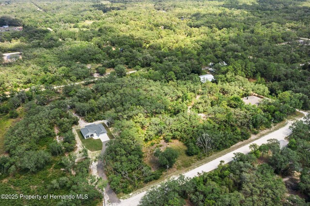 8184 Chimney Rock Dr, Webster, FL 33597