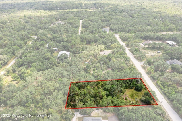 8184 Chimney Rock Dr, Webster, FL 33597