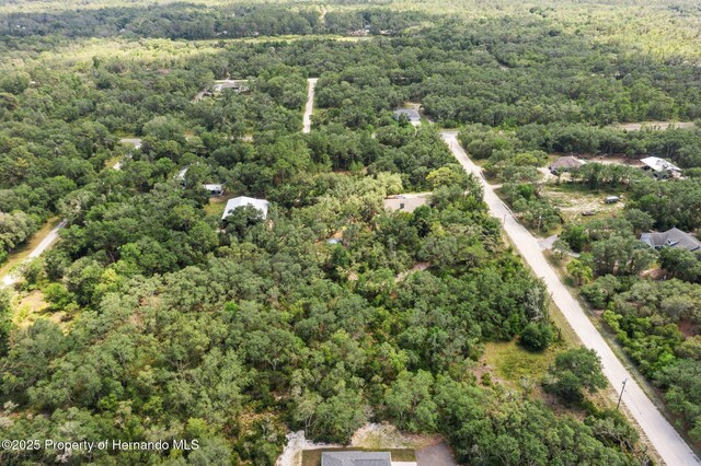 8184 Chimney Rock Dr, Webster, FL 33597
