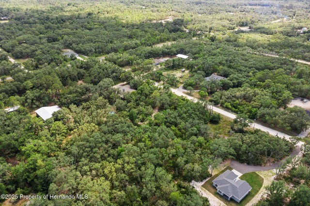 8184 Chimney Rock Dr, Webster, FL 33597