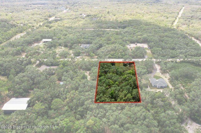 8184 Chimney Rock Dr, Webster, FL 33597