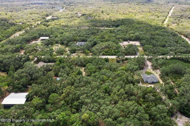 8184 Chimney Rock Dr, Webster, FL 33597