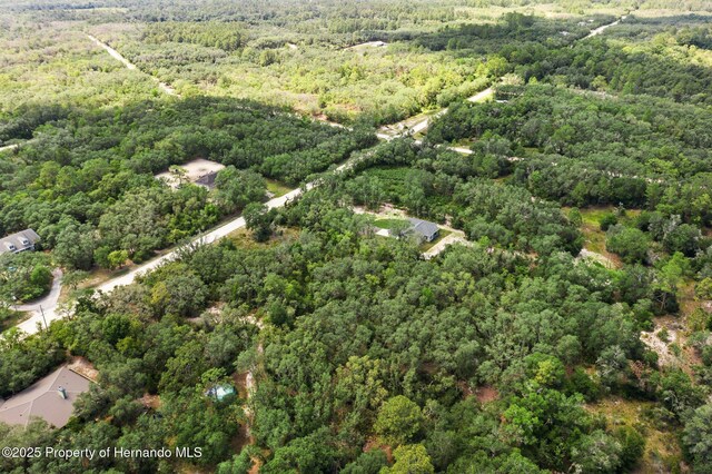 8184 Chimney Rock Dr, Webster, FL 33597