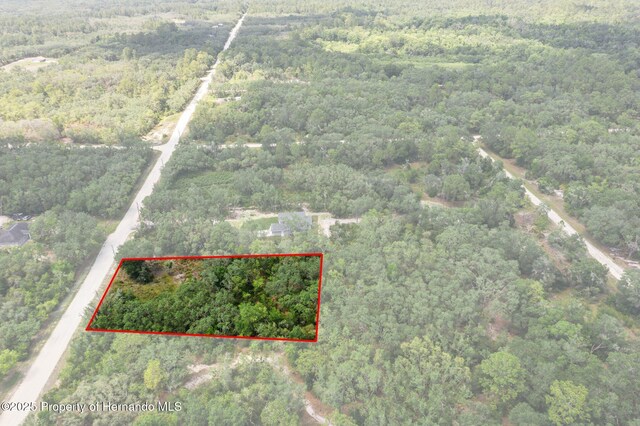 8184 Chimney Rock Dr, Webster, FL 33597