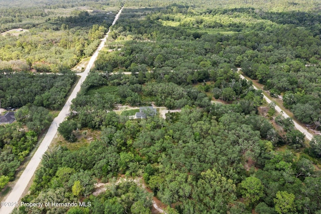 8184 Chimney Rock Dr, Webster, FL 33597