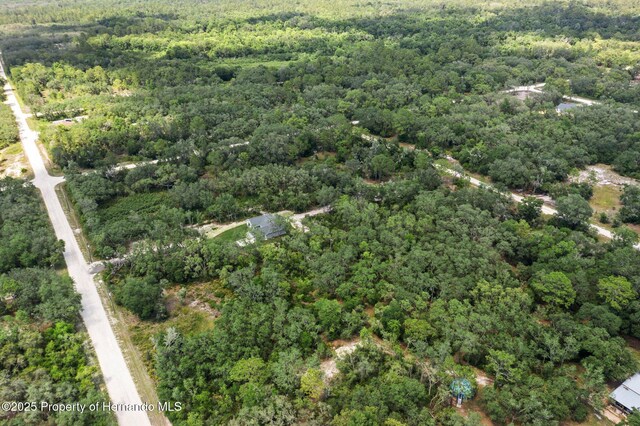 8184 Chimney Rock Dr, Webster, FL 33597