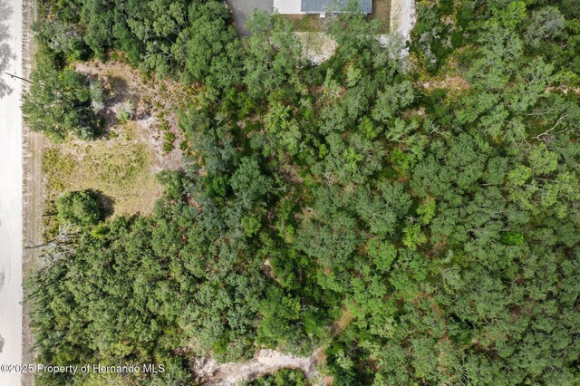 8184 Chimney Rock Dr, Webster, FL 33597